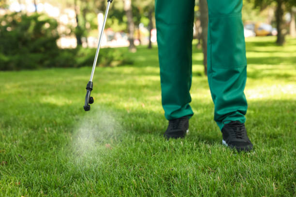 Best Affordable Pest Control Services  in Jackson, LA