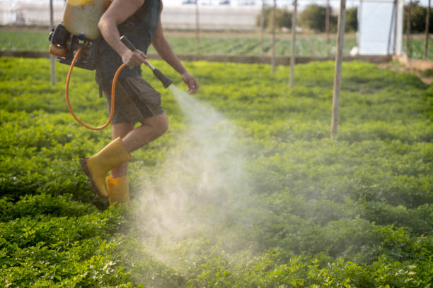 Best Pest Prevention Services  in Jackson, LA