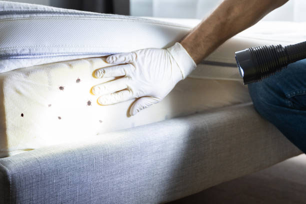Best Pest Control Near Me  in Jackson, LA
