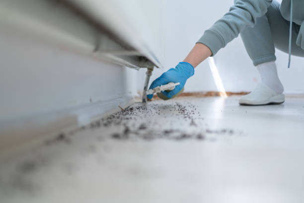 Best Ant Control Services  in Jackson, LA